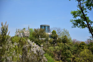 植物園 展望台 遠景